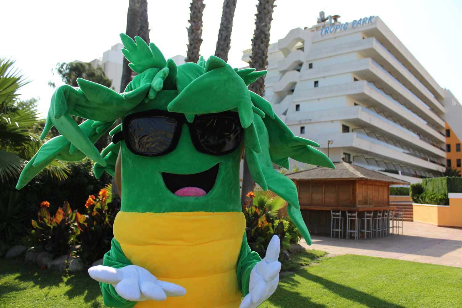 Hotel image 4